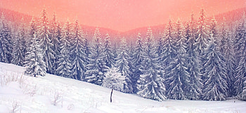 Landscape Snow Trees , landscape, snow, trees, nature HD wallpaper