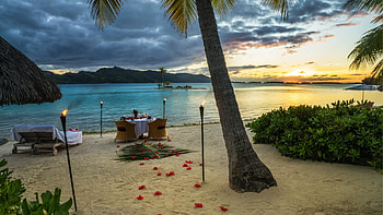 French Polynesia, Ocean paradise, Sunset beach getaway, Palm trees HD wallpaper