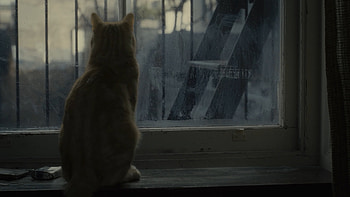 Inside Llewyn Davis, Coen Brothers film, The Projection Booth podcast, Critique HD wallpaper