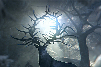 S01E07, Shadow and Bone HD wallpaper