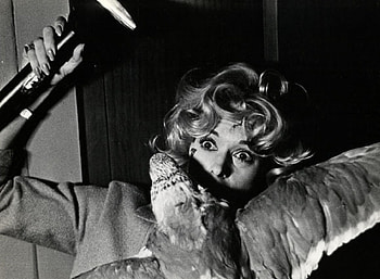 Alfred Hitchcock, The Birds, 1963, MoMA HD wallpaper