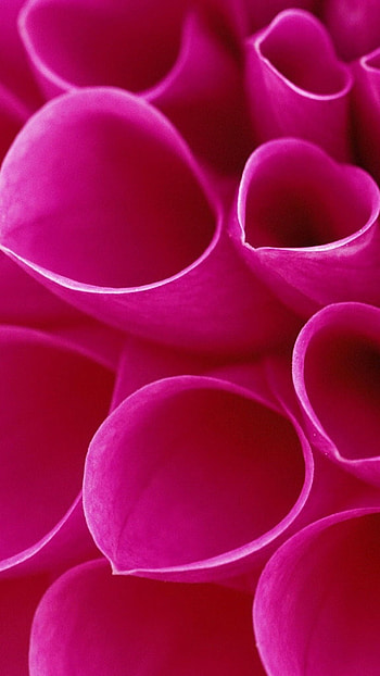 Pink, Pink Colour, Aesthetic HD phone wallpaper