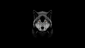 Wolverine Oled , wolf, dark, black, oled, artist, artwork, digital-art HD wallpaper