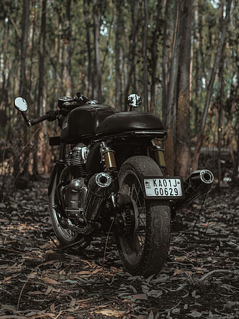 Trees, Motorcycles, Motorcycle, Bike, Royal Enfield HD phone wallpaper