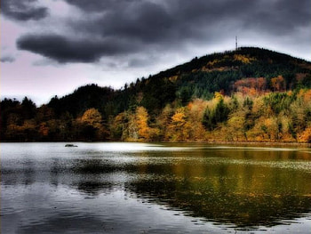 golden lake, golden, lake HD wallpaper