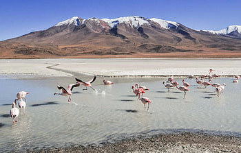 Surprising Bolivia facts, Never expected HD wallpaper