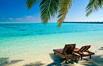 Beach, sand, water, tree HD wallpaper