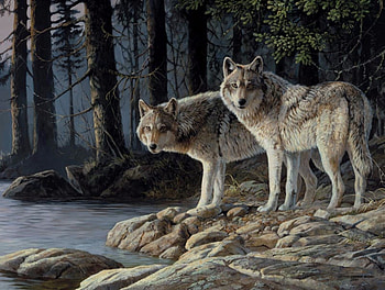 Shades Of Grey, Animals, Gray, Wolve, Trees, Water, Ominois HD wallpaper