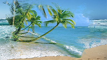 Spirit of the Palms, sea, island, footprints, sky, palm trees, collage, vacation, beach HD wallpaper