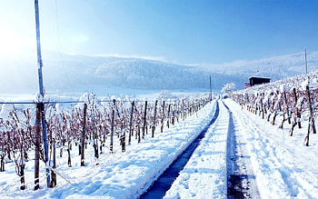 Landscape, Winter HD wallpaper