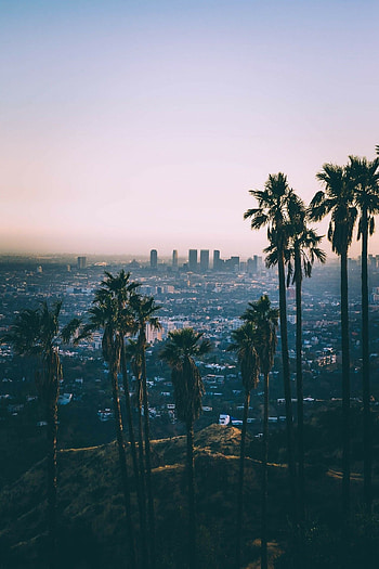 Beverly Hills, West Coast USA, Travel inspiration, Road trip HD phone wallpaper