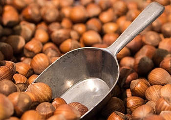 Food, Lot, Hazelnut, Hazelnuts, Scoop HD wallpaper
