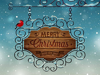Merry Christmas, frost, frozen, bird, beautiful, nice, snowflakes, holiday, merry, snow, christmas, lovely, cardinal, new year HD wallpaper