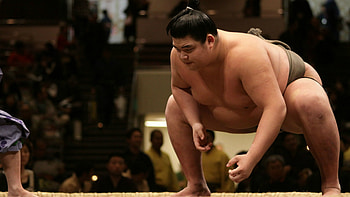 Content analytics tool, Sumo focus HD wallpaper