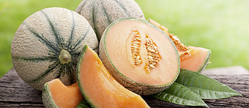 European cantaloupe, Melons HD wallpaper