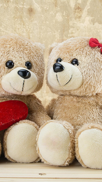 Beautiful Teddy Bear, Cute Toy HD phone wallpaper