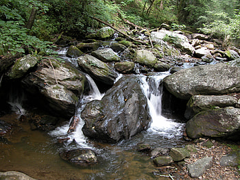 Forest Stream, forest, rocks, stream HD wallpaper