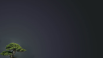 ... bonsai 32701; abstract bonsai trees walldevil ... HD wallpaper