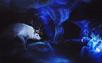 Fantasy wolf, blue, white, horns, fantasy, luminos, wolf, lup, fiirewolf HD wallpaper