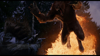 Van Helsing Werewolf HD wallpaper