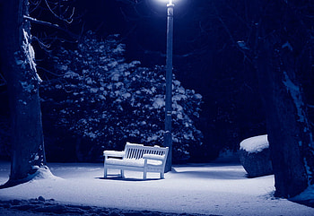 Winter_on_island_of_Ruegen, winter, blue, snow, nature, tree HD wallpaper