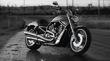 Harley-Davidson, Davidson, Bike, Harley, wheel HD wallpaper