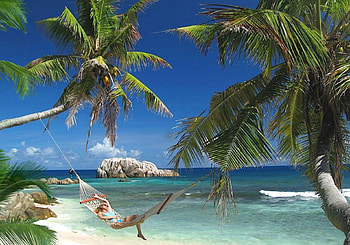 Holiday on Cousine-Island, sea, island, rest, beach HD wallpaper