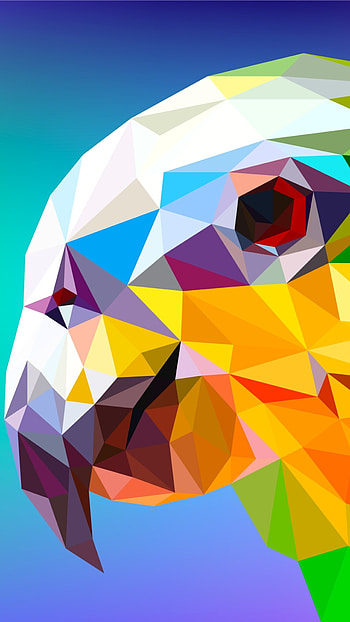 Parrot, Facets HD phone wallpaper