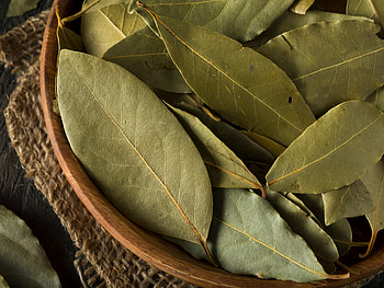 Bay leaves, Introverted kitchen, Apothecary, Inglewood HD wallpaper