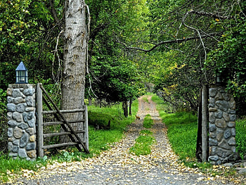 Nature, Trees, Leaves, Lights, Road, Forest, Lanterns HD wallpaper