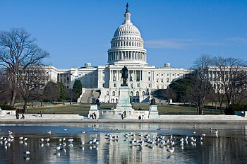 Washington, D.C., Captivating architecture, Must-visit city, Stunning views HD wallpaper