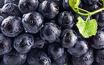 Blueberries, berries, fruit, food HD wallpaper