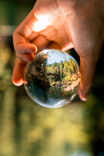 A hand holds a crystal ball reflecting a forest scene with a bridge, creating a unique perspective. HD phone wallpaper