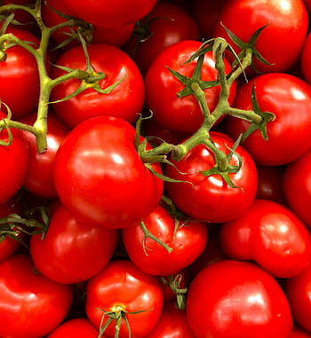 Vibrant close-up of fresh cherry tomatoes, showcasing their juiciness and bright red color. HD phone wallpaper