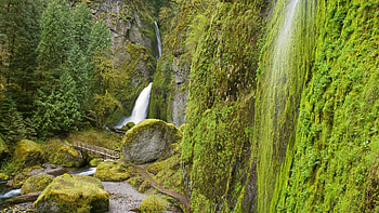 spectacular waterfalls landscape in oregon, trail, green, bridge, waterfalls, cliff, rocks, stream HD wallpaper