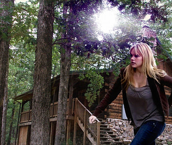 Cabin, entertainment, other, people, forest, woman HD wallpaper