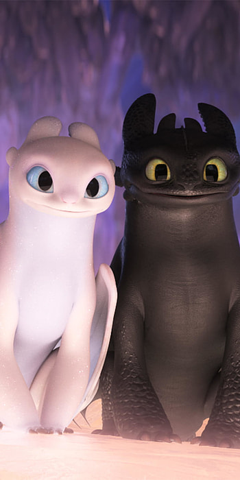 Toothless & Light Fury — Hidden World , Toothless (How to Train Your Dragon), movie, How to Train Your Dragon: The Hidden World HD phone wallpaper