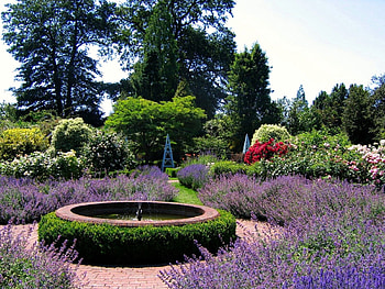 Nature, Flowers, Fountain, Garden HD wallpaper
