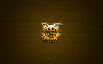 FC Ilves, Finnish football club, yellow logo, yellow carbon fiber background, Veikkausliiga, football, Tampere, Finland, FC Ilves logo HD wallpaper
