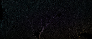 Dark Minimal Tree , abstract, tree, dark, black, artist, artwork, digital-art HD wallpaper
