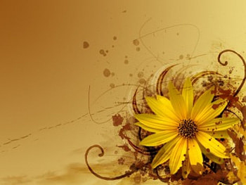 Flowery-V, floral, spilits HD wallpaper