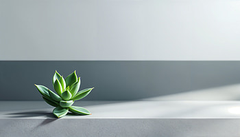 Vibrant Succulent in Ultra, succulent, plant, minimalist, home decor, greenery HD wallpaper