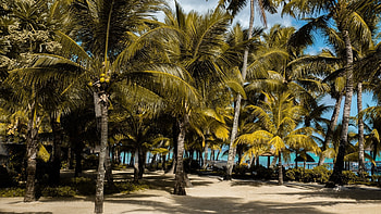 Mauritius Island, Stunning , African beauty, Exquisite visuals HD wallpaper