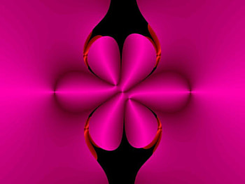Newtons Flower, pink, abstract, flower, curves, shape, silk HD wallpaper