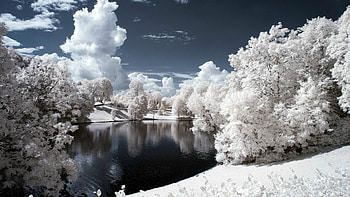 Riverside travels, Pin by loulou, Hivernal winter landscape, Snow covered trees HD wallpaper