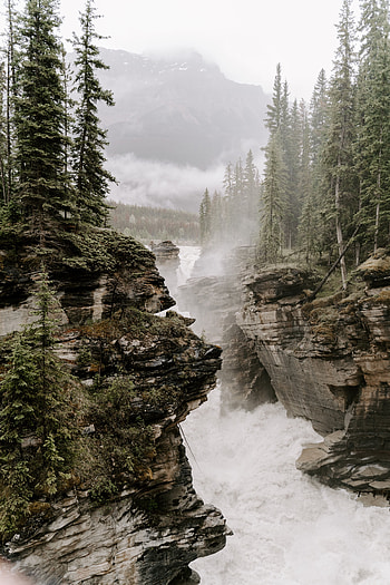 Nature, Rivers, Trees, Rocks, Fog, Cliffs, Precipices HD phone wallpaper