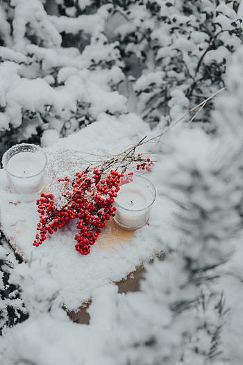 Snow, Candles, Berries, Miscellanea, Miscellaneous, Branches HD phone wallpaper