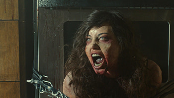 Life After Beth (2022) movie HD wallpaper