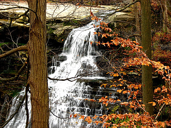 Brandywine falls, trees, ohio, waterfall, fall HD wallpaper