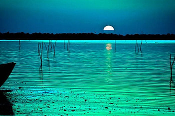 greenest sunset, blue, sky, green, sunset HD wallpaper